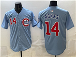 Chicago Cubs #14 Ernie Banks 2025 Light Blue City Connect Limited Jersey