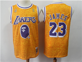 Los Angeles Lakers #23 Lebron James Gold Joint BAPE Hardwood Classics Jersey