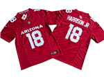 Arizona Cardinals #18 Marvin Harrison Jr. Red Vapor F.U.S.E. Limited Jersey