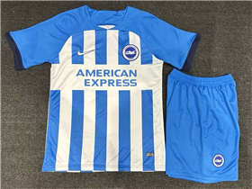 Brighton & Hove Albion F.C.. 2023/24 Home Blue White Pinstripe Soccer Jersey